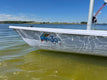 Kirby Laser 30 Elite